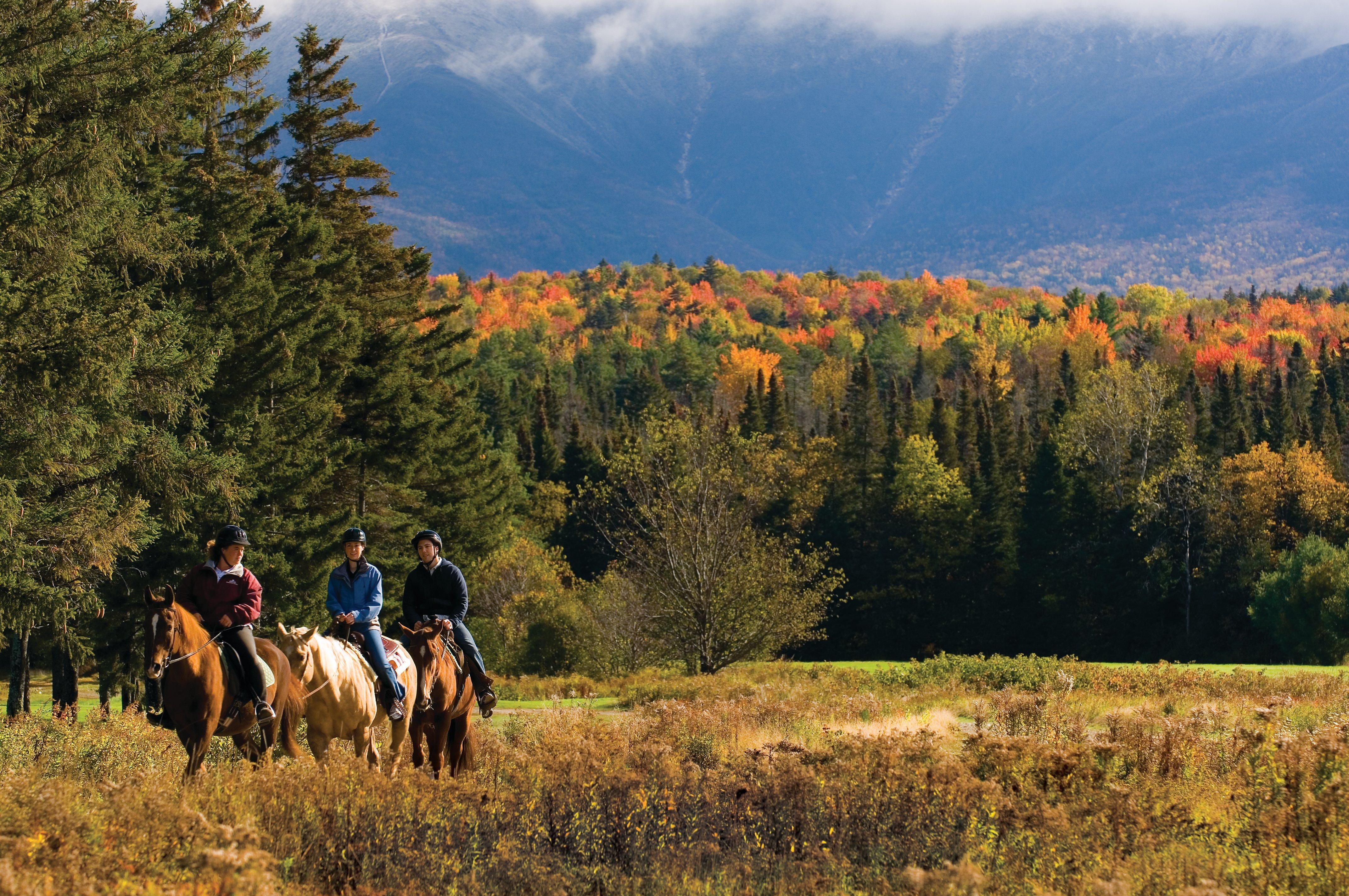 Omni Mount Washington Resort & Spa Бреттон-Вудс Екстер'єр фото